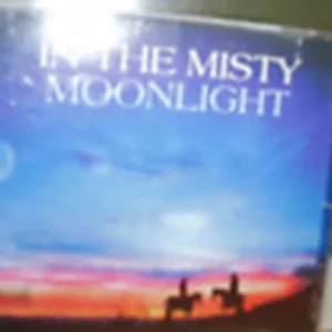 In The Misty Moonlight
