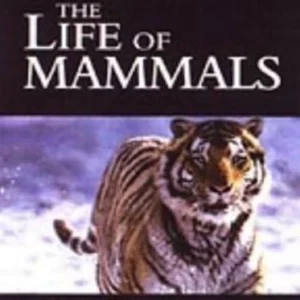 Life of Mammals