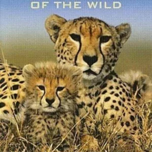 Babies Of The Wild