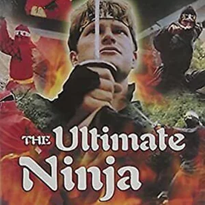 The Ultimate Ninja