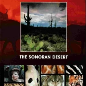 National Gepgraphic: The Sonoran Desert