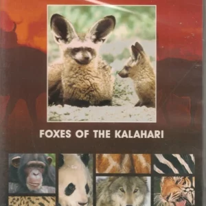 National Geographic - Foxes of the Kalahari