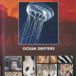 National Geographic Ocean Drifters [DVD]
