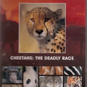 Cheetahs: The Deadly Race