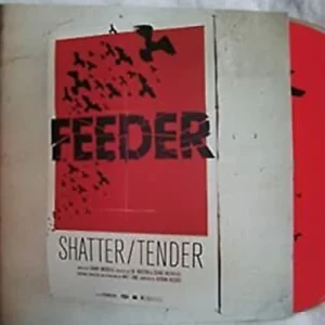 Shatter / Tender