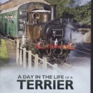 A Day in the Life of a Terrier