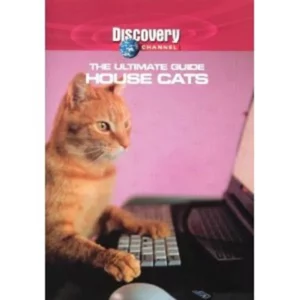 The Ultimate Guide House Cats