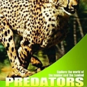 Wildlife - Predators