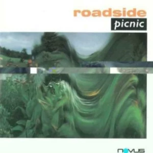 ROADSIDE PICNIC