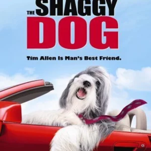 The Shaggy Dog