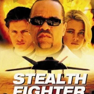 Stealth Fighter