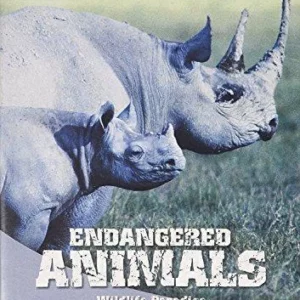 Wildlife Paradise