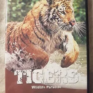 Wildlife Paradise - Tigers