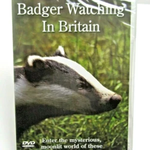 Badger Watching in Britain
