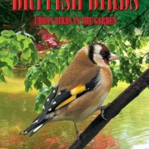 British Birds: Urban Birds in the Garden