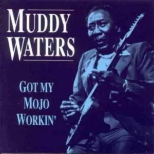 Muddy Waters