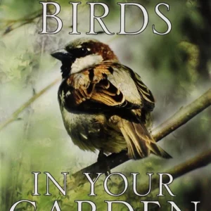British Birds In Your Garden