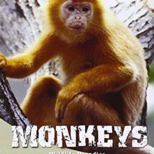 Wildlife Paradise - Monkeys
