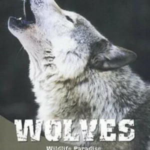 Wildlife Paradise - Wolves
