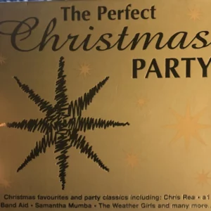 The Perfect Christmas Party