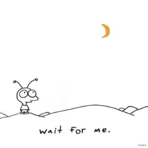 Wait For Me