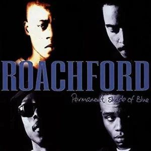 Permanent Shade Of Blue