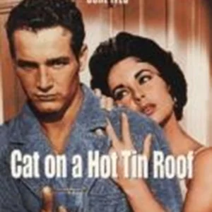 Cat On A Hot Tin Roof