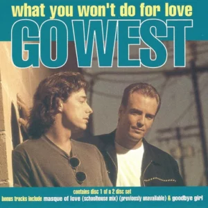What You Won't Do For Love