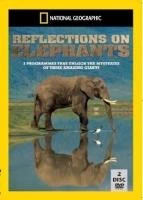 National Geographic: Reflections On Elephants