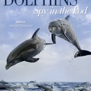 Dolphins: Spy in the Pod