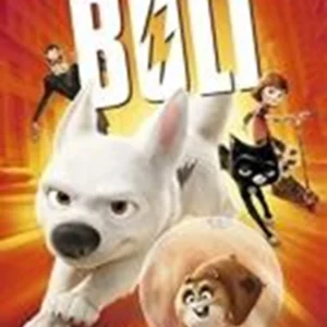 Bolt