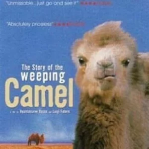The Story Of The Weeping Camel