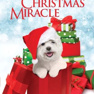 A Dog's Christmas Miracle