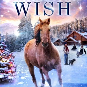 A Christmas Wish