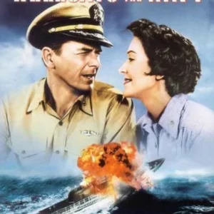 Hellcats Of The Navy