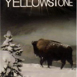 Yellowstone