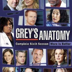 Grey's Anatomy: Complete Sixth Season