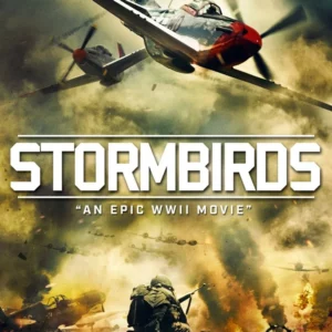 Stormbirds