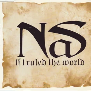 If I Ruled The World