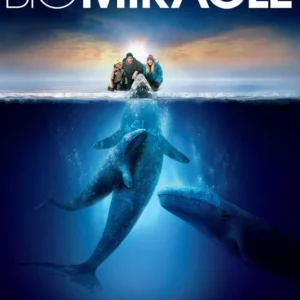Big Miracle