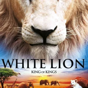 White Lion