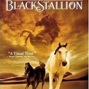 The Young Black Stallion