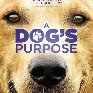 A Dog's Purpose