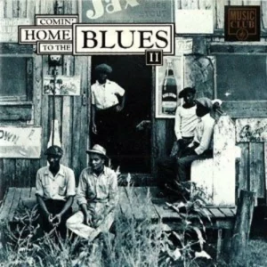 Coming Home to the Blues Vol.2