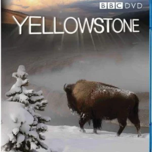 Yellowstone