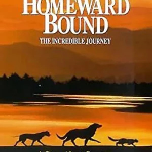 Homeward Bound: The Incredible Journey