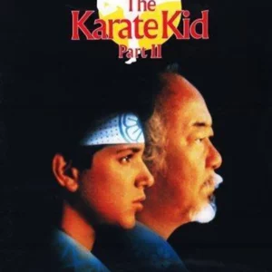 The Karate Kid 2