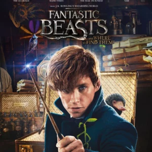 Fantastic Beasts and Where To Find Them
