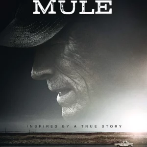 The Mule