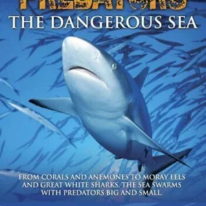 Predators - The Dangerous Sea